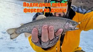Подледная ловля форели на джиги