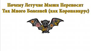 Почему Летучие Мыши Переносят Так Много Болезней (как Коронавирус)