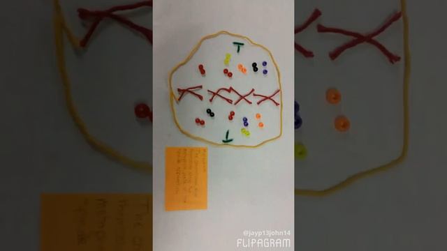 Cell cycle. Biology 2nd period. W/ Jay-p john & Ruben salinas смотреть онлайн