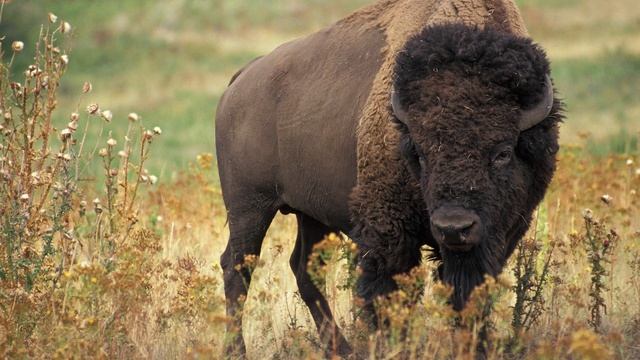 Frugal Fun: Explore the CHEAPEST Places to Visit in Texas