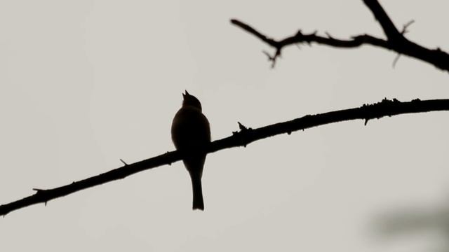 кемпинг в палатке СССР смотреть онлайн