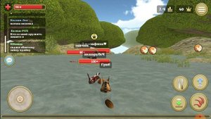 играю в симулятор белки 2 сетевая игра.