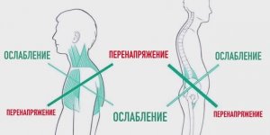 Комплекс Радужной Гимнастики для профилактики последствий сидячего образа жизни.