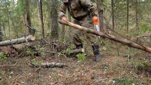 лесной балаганчик 1 часть