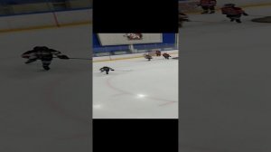 хоккей 🏒 игра