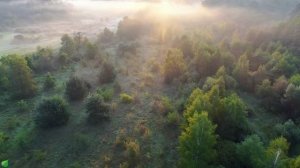 Исцеляющая гармония музыка для сердца 🌿 Расслабляющая музыка для снятия стресса