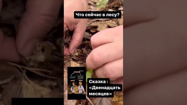 Сказка для взрослых, что сейчас в лесу или как апрель хочет место января занять смотреть онлайн