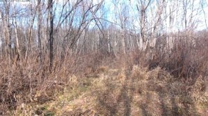 Родина соседа.