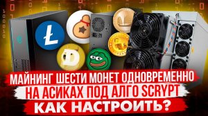 МАЙНИНГ ШЕСТИ МОНЕТ ОДНОВРЕМЕННО НА АСИКАХ ПОД SCRYPT | КАК НАСТРОИТЬ И ГДЕ МАЙНИТЬ?