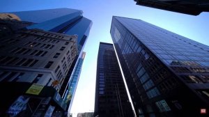 Человек произошёл не от обезьяны, а от дерева.