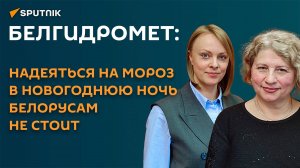 Белгидромет: надеяться на мороз в новогоднюю ночь белорусам не стоит