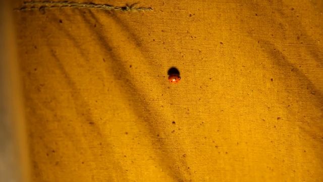 ночую на карьере в палатке СССР с печкой. смотреть онлайн