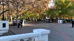 Севастополь 17 ноября 2024