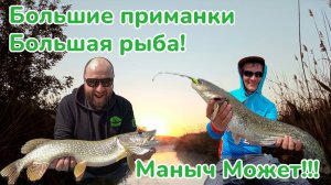 Большая щука на реке Маныч / Большие приманки большая рыба / Трофеи Реки Маныч / Рыбалка на Маныче