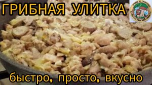 ГРИБНАЯ УЛИТКА, готовим дома, рецепты грибников!