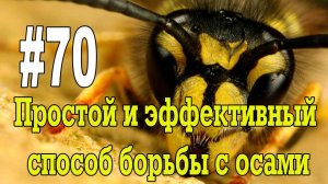 #70 Простой и эффективный способ борьбы с осами (ловушка)