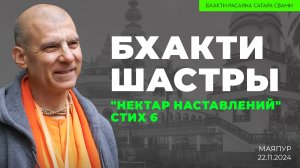 Е.С. Бхакти Расаяна Сагара Свами - Бхакти шастры. Нектар наставлений. Стих 6 (Маяпур 22.11.2024г.)