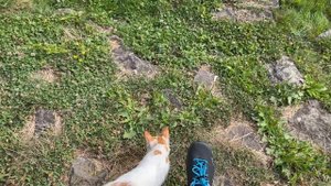 Shimano MT3 and PD-EH500 First Ride and Impressions