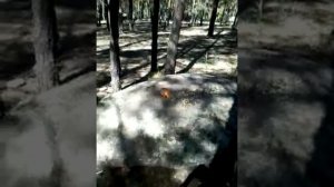 Фильм Любовь земная