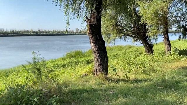 Видео влог #5 Приехали в #астрахань #нарыбалку #2022 Разбиваем лагерь Первый улов