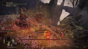 У ПОРТНОГО БОКА ЕСТЬ СВОЙ КВЕСТ! ELDEN RING ТОЛЬКО ЩИТ #23