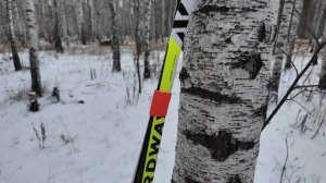 Беговые лыжи Nordway Classic 185 см