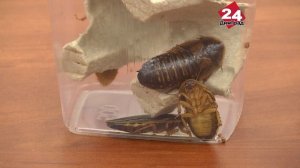 Бизнес - просто