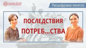 Всё про потребительское отношение и общество потребления. Цикл: Расшифровка понятий | Глазами Души