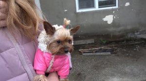 Лера УБЕГАЕТ от КАРТУН КЭТА. СИРЕНОГОЛОВЫЙ ПРИСЛАЛ КАРТУН КЭТА ВМЕСТО СЕБЯ. Крейзи лайф