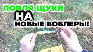 Ловля щуки на новые воблеры! Ловля щуки на спиннинг зимой в декабре! Зимний спиннинг!