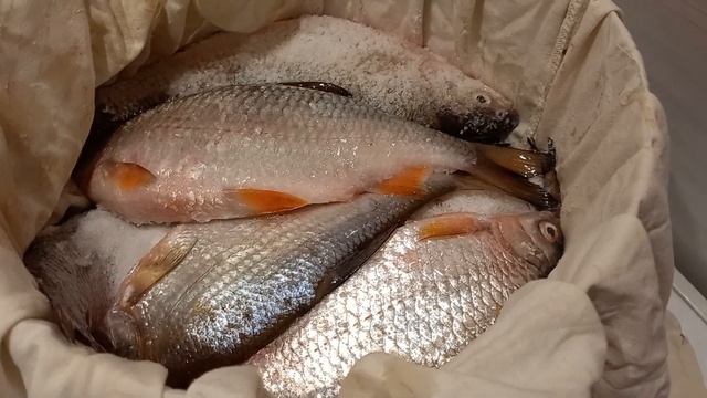 Сухой посол рыбы#какзасолитьрыбу #вкуснаятаранка