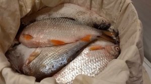 Сухой посол рыбы#какзасолитьрыбу #вкуснаятаранка
