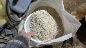 Яйценоскость 80%