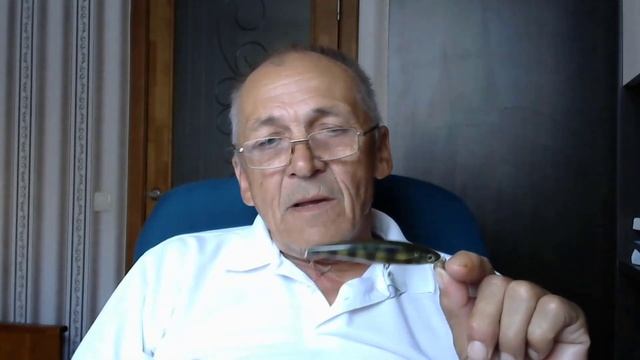 Легенда, лучший воблер на щуку от Rapala