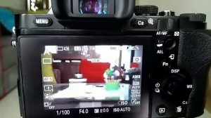 Auto Focus Test Sigma MC-11 Adapter with Sony A7 and Canon EF 28-105 USM II lens