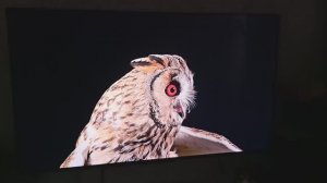 Телевизор Haier 55 Smart TV S6