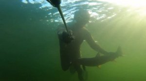 ВСЯ КРАСОТА ПОДВОДНОЙ ОХОТЫ!!! Аграханский залив! Дагестан !!!