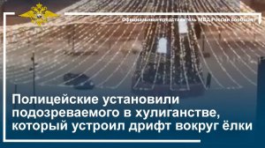 Полицейские установили подозреваемого в хулиганстве, который устроил дрифт вокруг елки