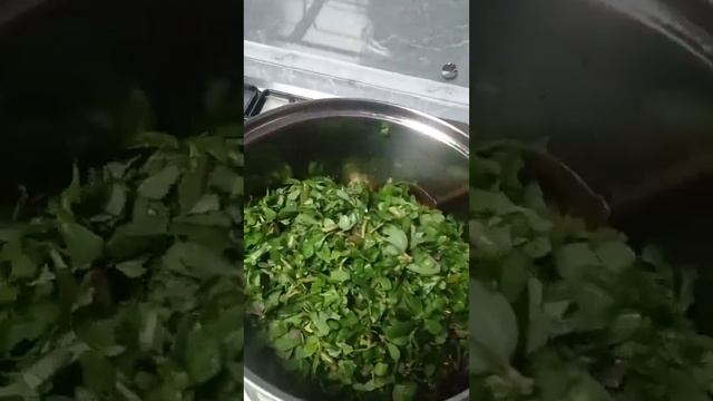 Суп из Портулака