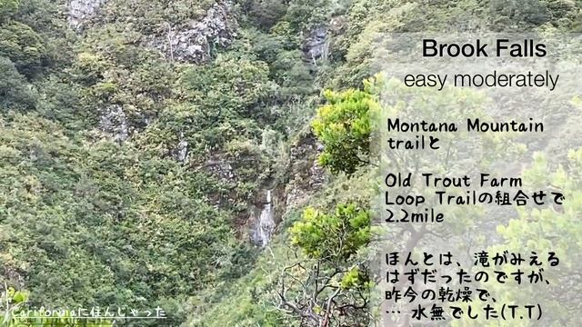 Altra Superior 5 試し履き смотреть онлайн