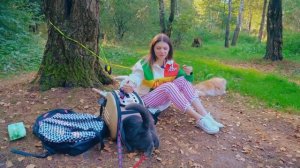 24 ЧАСА в ЛЕСУ с КОШКОЙ и СОБАКОЙ | ПИКНИК в ЛЕСУ с ПИТОМЦАМИ