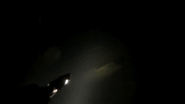 Подвохи Вегетарианцы Усть-Илимск 6 мкр. Рыбалка в черте города, река  Ангара.