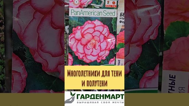 Многолетники, которые растут в тени и полутени #Гарденмарт_ассортимент