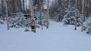 Пруды в Карелии. Зачем?!!