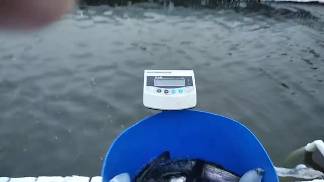 7 января 2022 г. смотреть онлайн