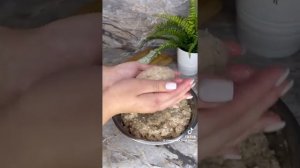 котлеты по киевски