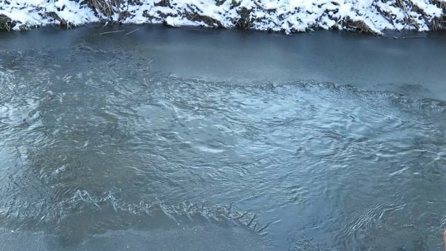 Серебрянка