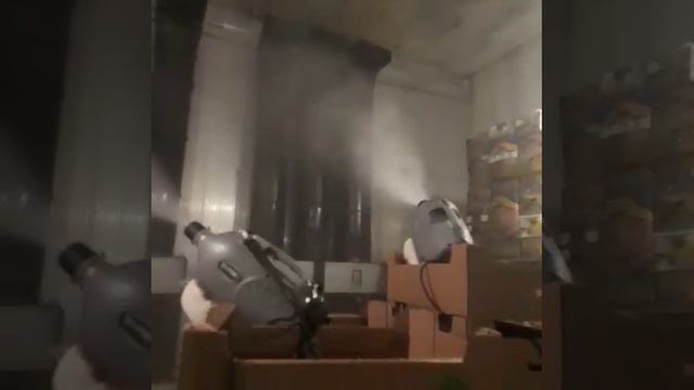 Обеззараживание против грибков их спор и плесени, фунгицидная обработка, Санпрофит www.sanprofit.or смотреть онлайн