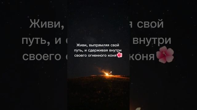 Живи выпрямляя #живи #жизнь #прямо #огонь #live #life #straight #fire #shorts #short