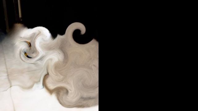 тупые лица бони смотреть онлайн